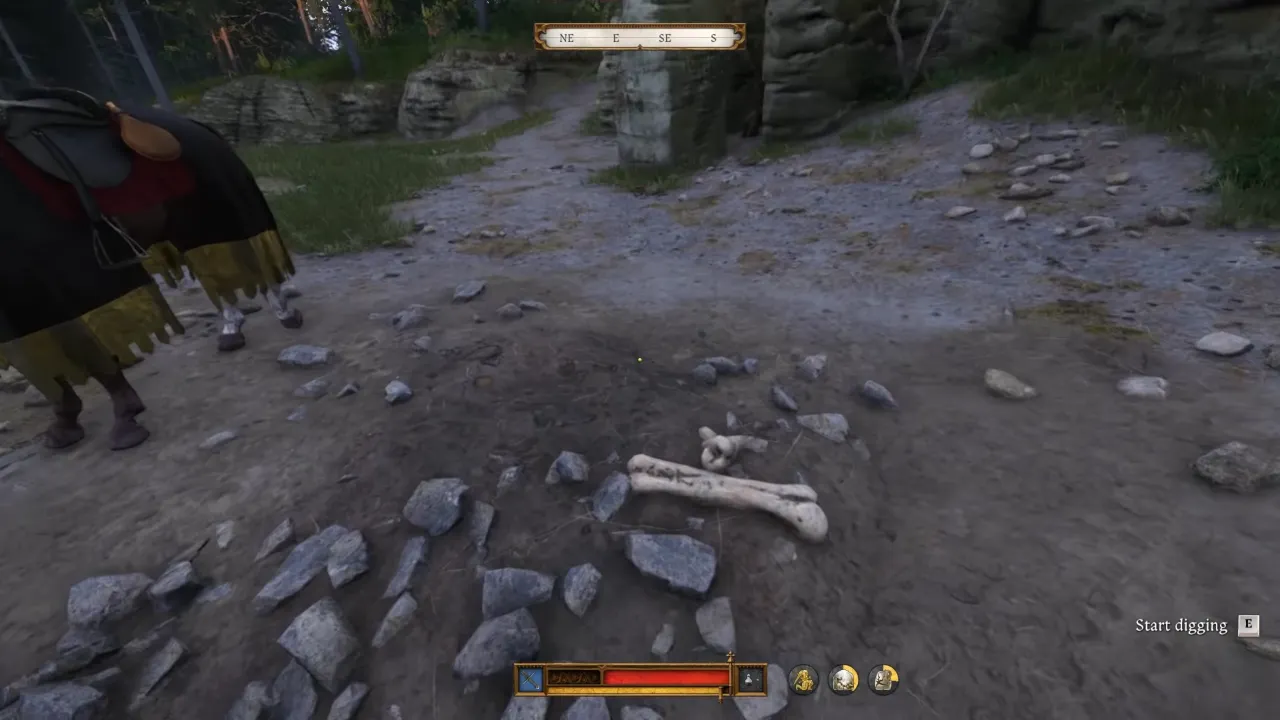 Bones dig up location