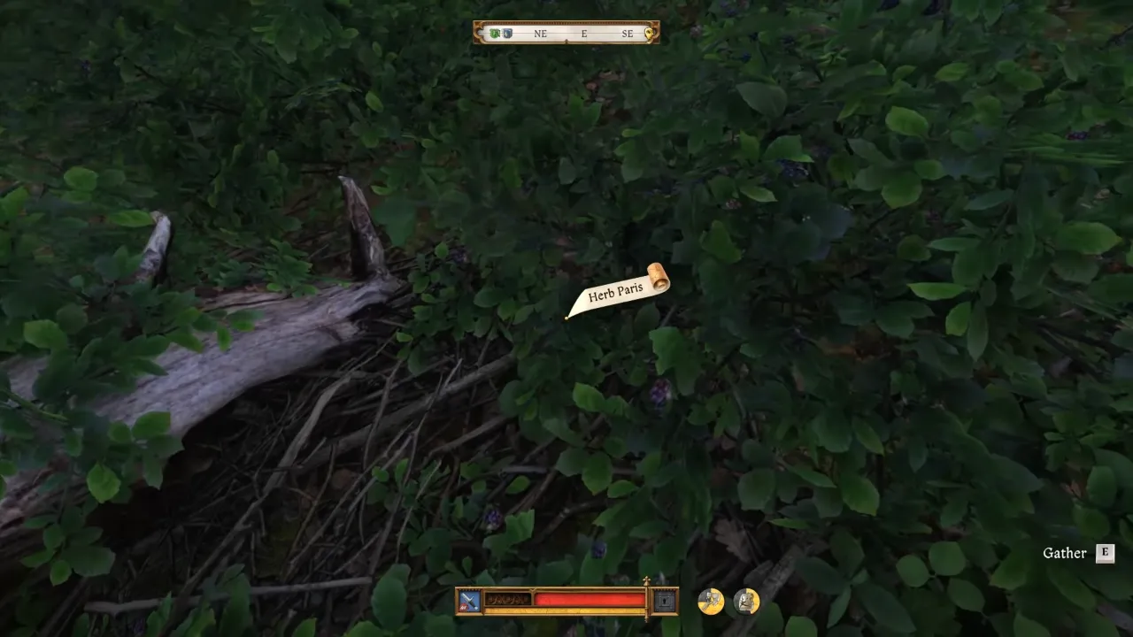 How to Harvest Herb Paris in KCD 2