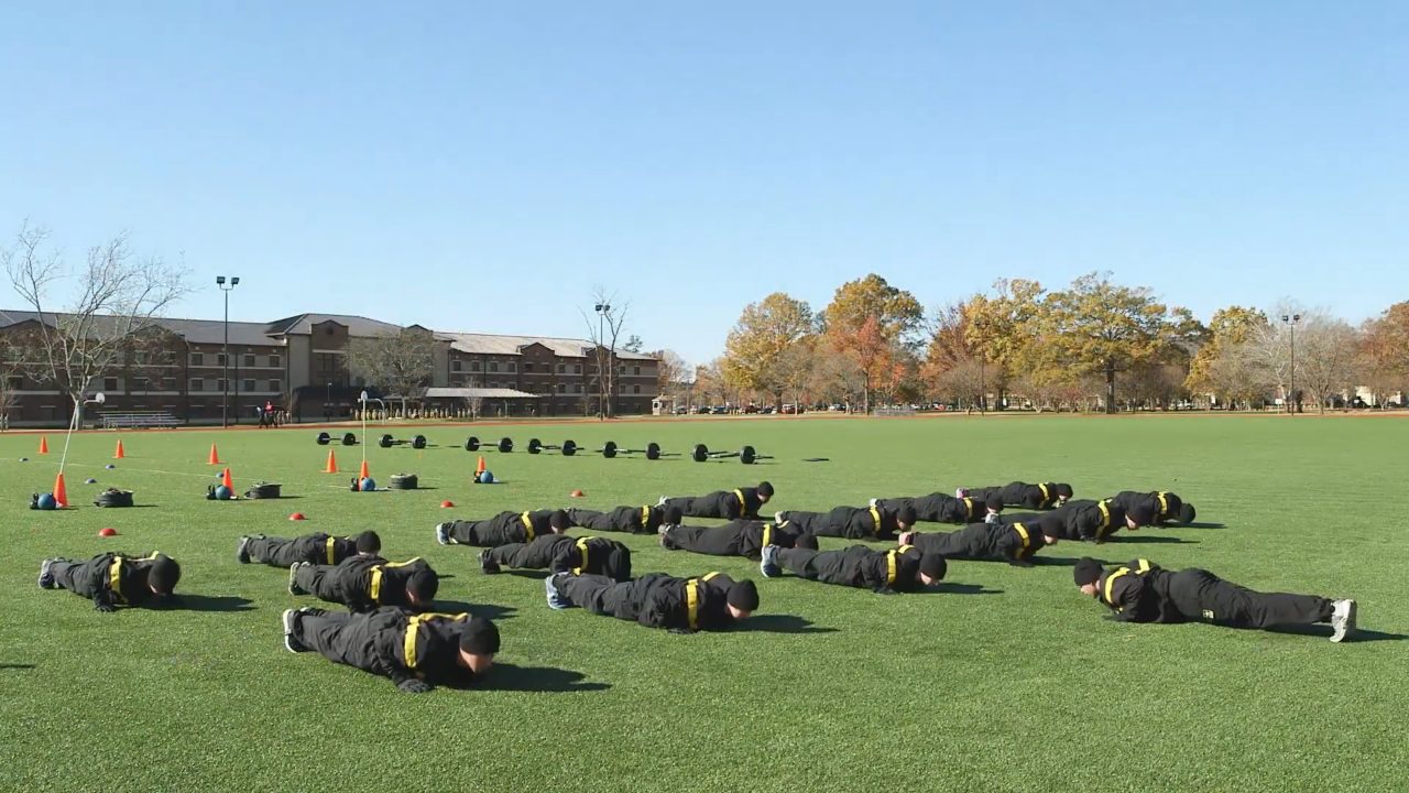 ACFT Push-ups image of Army trainers